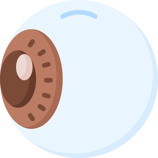 City Eye Care Eyeglassescontacts Eyeexams Optometrist